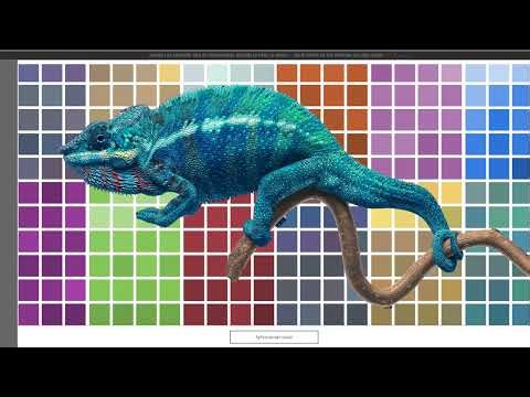 Conoce nuestro nuevo selector de color de BEHR®