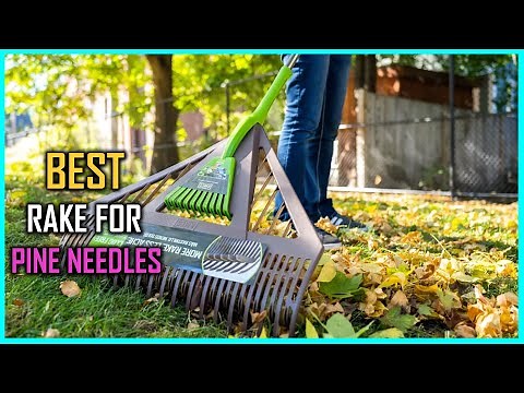 5 Best Rakes for Pine Needles [Review] - Pine Straw Needle Rake/Lightweight Pine Needle Rake [2023]