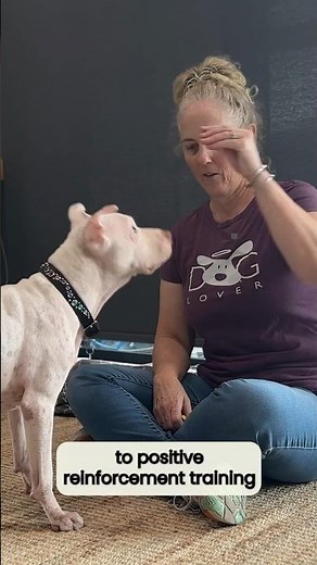 The Key To Positive Reinforcement Dog Training