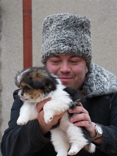 Hai să-i dăm un nume frumos acestei cățelușe