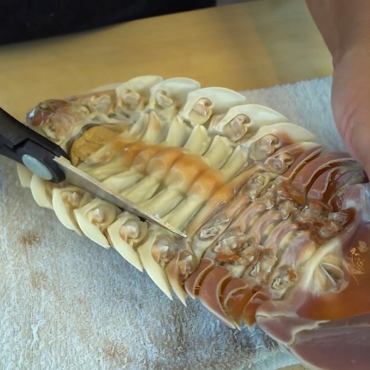 Biggest Sea Cockroach Instant Dispatch! 😱😬🪳 | Hiroyuki Terada - Sushi Master