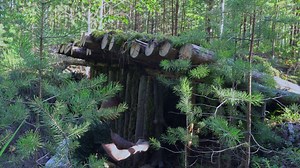 2.4K views · 334 reactions | Building complete and warm survival shelter Bushcraft earth hut, moss roof & campfire. Part 2 | Wilderness Survival | Facebook