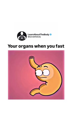 Learn About The Body | Many people assume fasting makes the body shut down or “eat away” at organs. The truth is that short-term fasting triggers predictable,... | Instagram