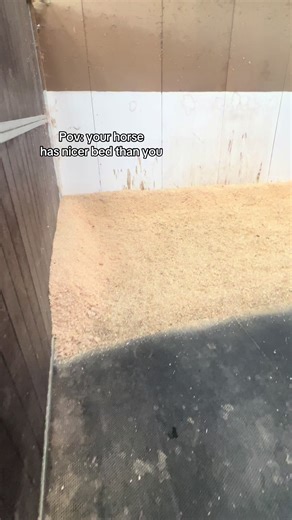 Your Horse's Cozy Bed vs. Yours
