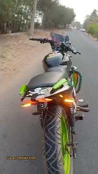 Pulsar 150 modified