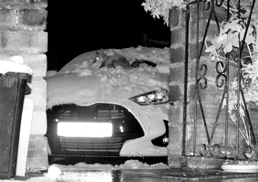 Fuchs beim Spielen im Schnee auf dem neuen Auto des Fotografen gefilmt