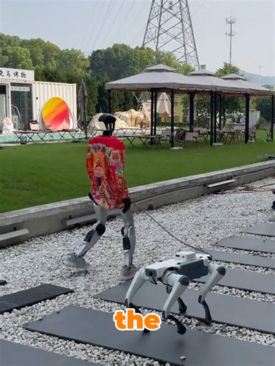 the future is here #tecnology #robots #china