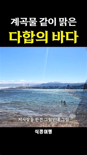 여행자들의 무덤이라는 다합의 바다 #식갱여행