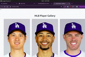 Baseball Wiki