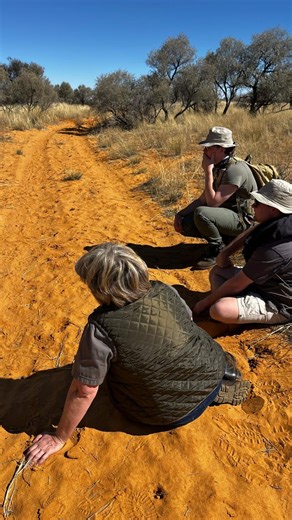 RogerRacks | Welcome to Kukama Kukama Wildlife College offers Field Guide training & Conservation courses. 🌿 About the NQF2 Nature Site Guide... | Instagram