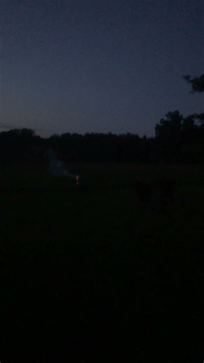 Clustering Bee firework rocket