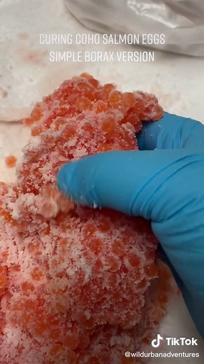 How to Cure Salmon Eggs with Borax for Fishing
