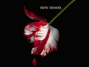 New Moon Audio Book Part 1