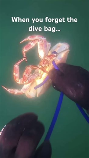 Gotta do what you gotta do #fishing