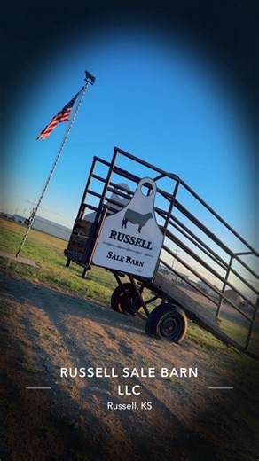 Russell Sale Barn LLC | Russell KS