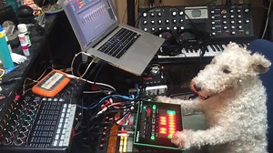 2018 is the year where we chase down and expose the biggest ghost producers in electronic music. First to be outed: Rex Credit: Be-At TV | Pocketbeat