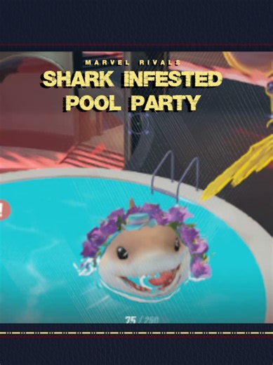 What to Do If You Find a Spider in Your Pool