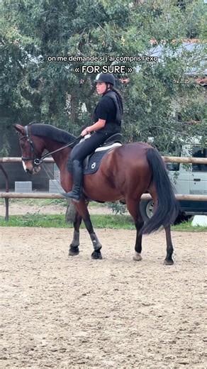 pov je comprends jamais rien #poney #viral #macron