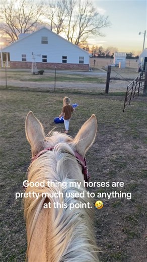She was looking at another horse in the arena and completely ignored the fact that a mini airplane was barreling straight toward us 😂 kids are the best desensitizers let me tell ya