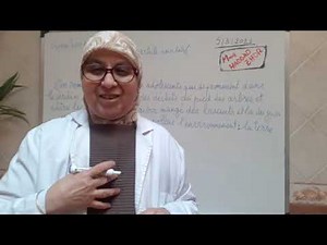 Production écrite. 2èmeAC. Ecrire un article incitatif.