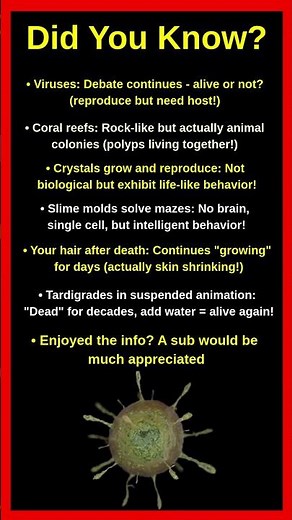Technically Living Things That Look Dead 🧬👁️
