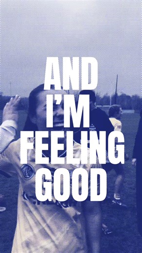 Saffrons are feeling good