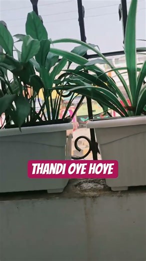 hello hello hello #funny #comedy #memes #funny