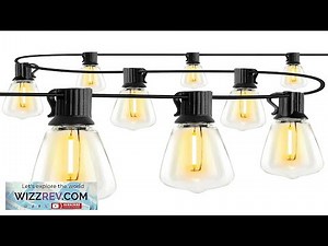 100FT ST38 E12 LED String Light 50+4 Bulbs 2700K Daylight IP65 Waterproof