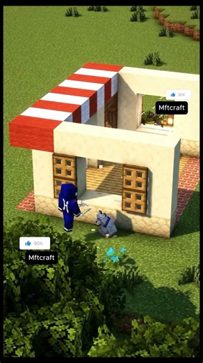 Minecraft Flower Shop shorts🌸