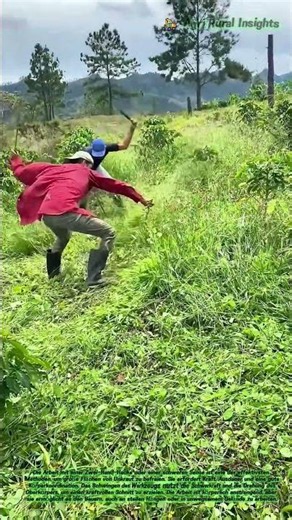 ⛏️ Doppelter Schwung, doppelte Kraft: Wie die Zwei-Hand-Hacke das Feld von Unkraut befreit