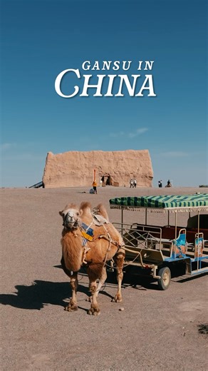 お久しぶりです！この前はじめて中国に行ってきました〜！またVLOG更新しますね🇨🇳 #chinatravel