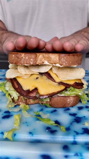 44K views · 159 reactions | The fried bologna sandwich of my dreams!! Quick, easy, cheap sandwich to make that doesn’t lack in the flavor department! My take on the @turkeyandthewolf version! #freddsters #letsmakeit #bologna #sandwich #chips #bolognasandwich | Freddsters | Facebook