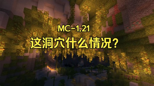 MC-1.21 这洞穴什么情况？