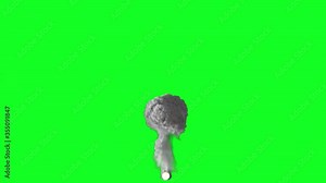animated nuclear explosion, green screen for video background Stock Video