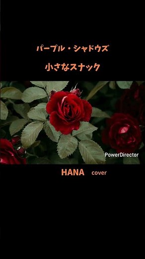 #小さなスナック#パープルシャドウズ#藤岡弘、#松竹#奥村チヨ#ダウンタウンブギウギバンド#桑田佳祐#吉幾三#ヴィレッジシンガーズ#昭和の名曲#昭和の歌謡曲#懐メロ#cover