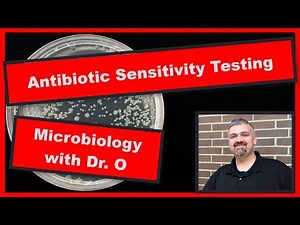 Kirby Bauer Antibiotic Testing Method: Microbiology