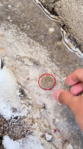 TikTokでCoin Cleaningさんをチェック！