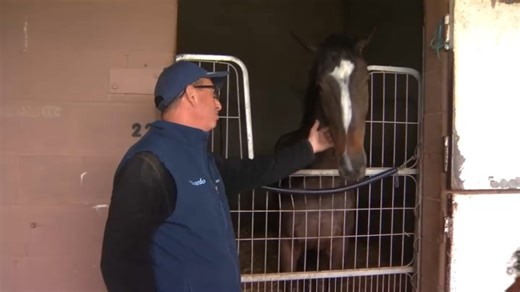 Workers wonder what's next with Alameda County Fairgrounds stables set to close