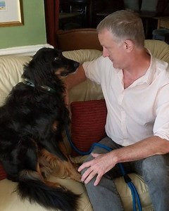 35K views · 606 reactions | Actor Simon Robson reads a beautiful Shakespeare Sonnet to his dog Dora.  ♥ Simon is the reader in a fantastic Shakespeare-inspired concert tonight at the @machynllethfestival festival in Wales, featuring words and music from countertenor Robin Blaze and lutenist Elizabeth Kenny  moma.machynlleth.org.uk | Classic FM | Facebook