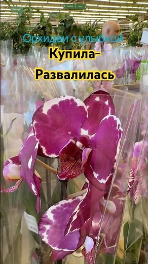 The Truth of Orchid Life #flowers #orchidroot #orchidreview #orchid #bloomingorchids #garden