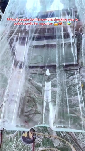 pgacrylicaquariumtank on TikTok