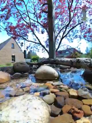 45 reactions · 4 comments | Oh, to be an American robin chilling in a bird bath on a summer's day      Shot with our Freestyle Camera! Coming soon on Kickstarter: https://bit.ly/3ADJ3Dh | Birdbuddy | Facebook