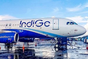 IndiGo: UAE ने इंडिगो की उड़ानों पर एक हफ्ते के लिए लगाई रोक, RT-PCR टेस्ट से जुड़े नियम का उल्लंघन