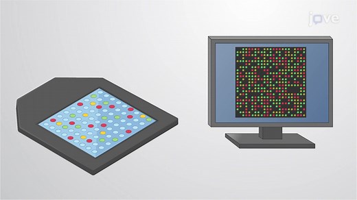 Video: DNA Microarrays