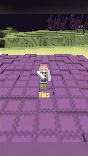 Infinite Shulker Shells From ONE Mob?! 😳