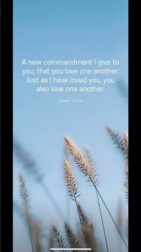 The Most Beautiful Bible Verses