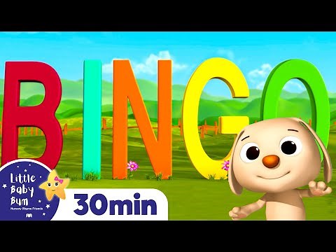 Bingo | Nursery Rhymes and Kids Songs | Little Baby Bum