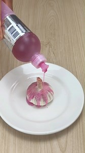 Depois que descobri este truque, minha casa nunca voltou a ter insetos! #dicas #insetos #viral | Receitaria 24H