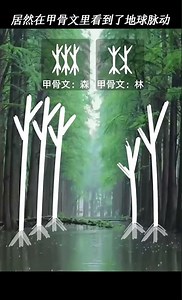 居然在甲骨文里看到了地球的心跳🌎 一字一世界，日升日落、朝朝暮暮，世间万物都在造字者的笔下生动起来