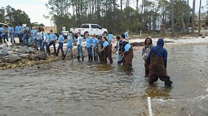 4.6K views · 98 reactions | For the eighth year in a row, more than 100 Marquette High students and nine staff members are taking part in a Spring Break service project. "This year, the students are going to help areas impacted by Hurricane Michael in Franklin and Gulf Counties in Florida," said trip organizer and Marquette Assistant Principal Dr. Dan Ramsey. "The work changes with the weather. We go ready for anything and are excited to serve." | Rockwood School District | Facebook